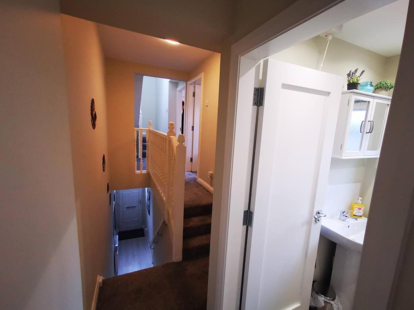 4Br Modern Botanic House Villa Belfast Bagian luar foto