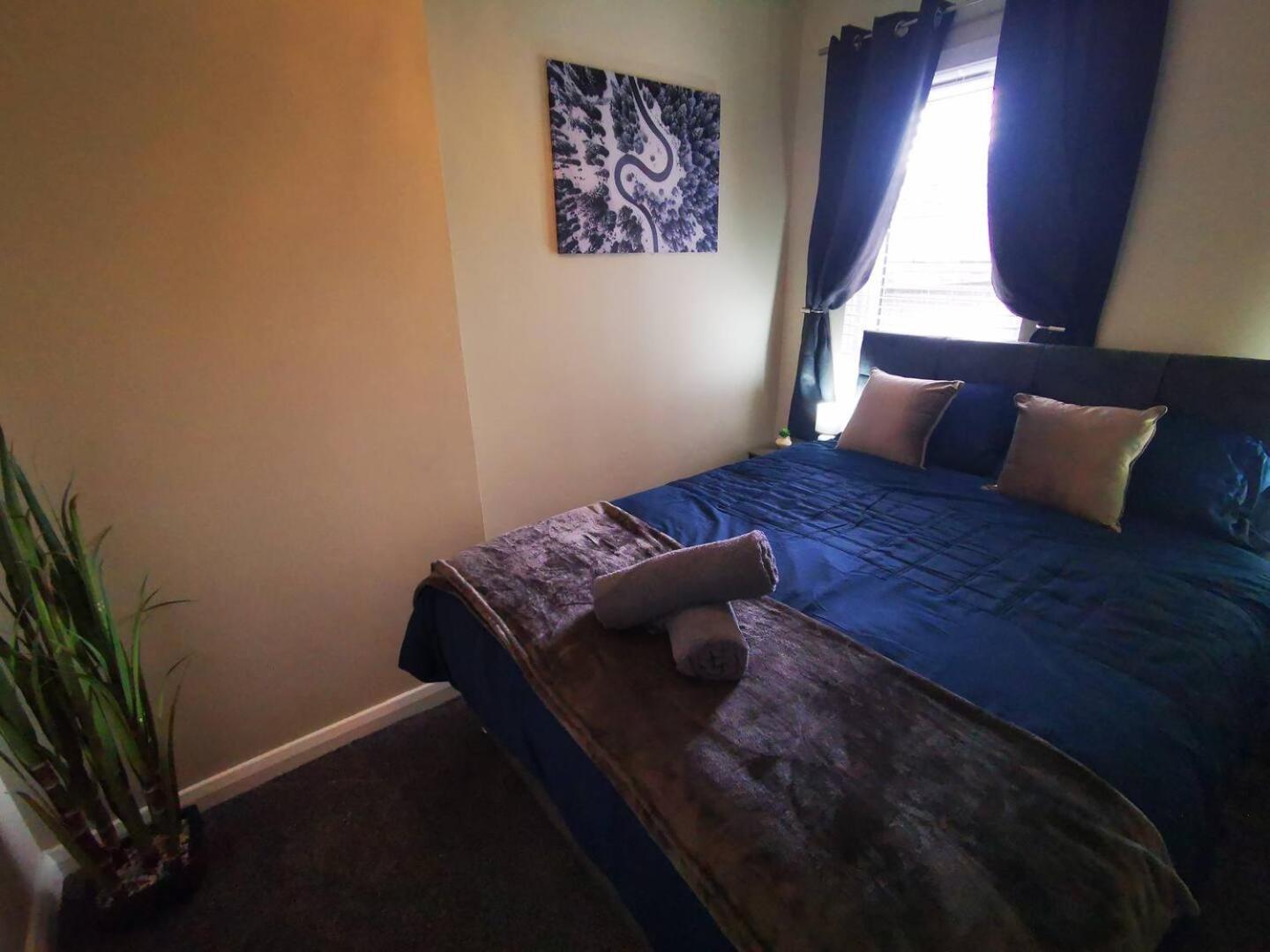 4Br Modern Botanic House Villa Belfast Bagian luar foto